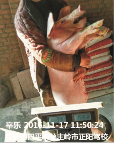 98堂论坛保育料（Z101）的实证案例